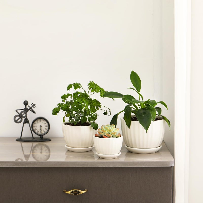STHIE Ceramic Plant Pots with Drainage Holes and Saucers  Round White Flower Pots for Indoor Plant  Diameter 3.3/4.3/5.5 Inches Small Flower Planters Set of 3 - Image 4